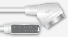 SCART-Stecker
